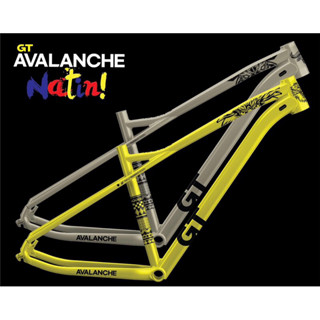 Gt mountain bike discount frame for sale