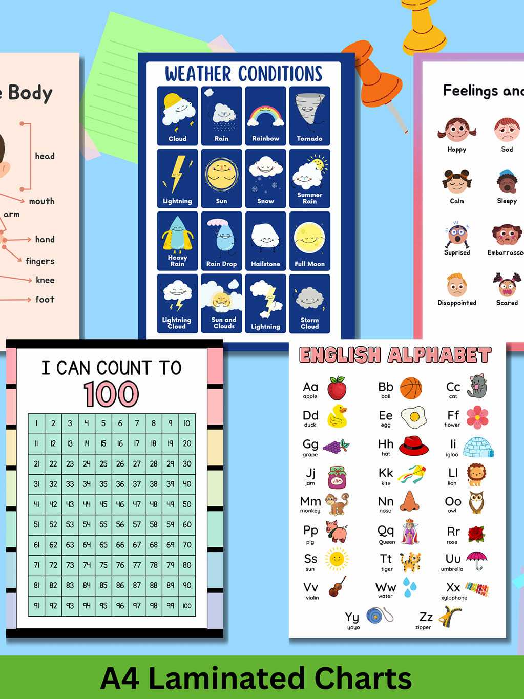 10PCS Educational Preschool Posters Charts for Preschoolers Toddlers