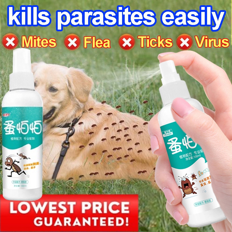 Anti tick and top flea spray