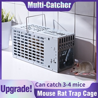 Shop mouse trap for big rats for Sale on Shopee Philippines