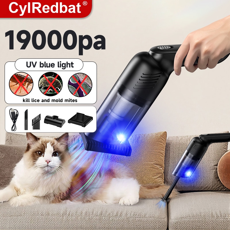 Will Uv Light Kill Lice Shelly Lighting