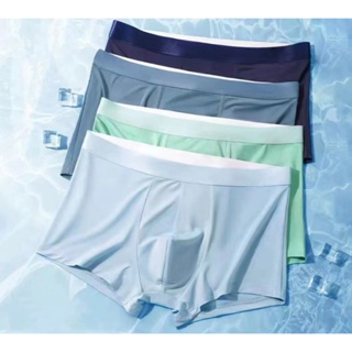 Summer ice silk panties wholesale masculine translucent briefs Low