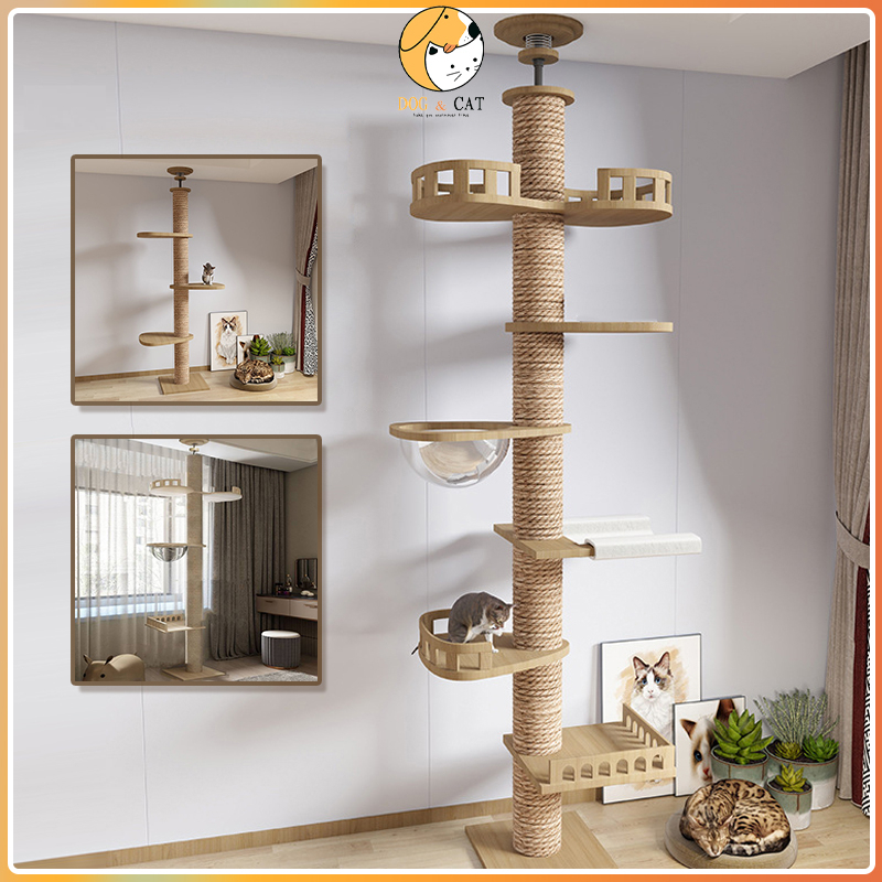 Cat best sale condo shopee