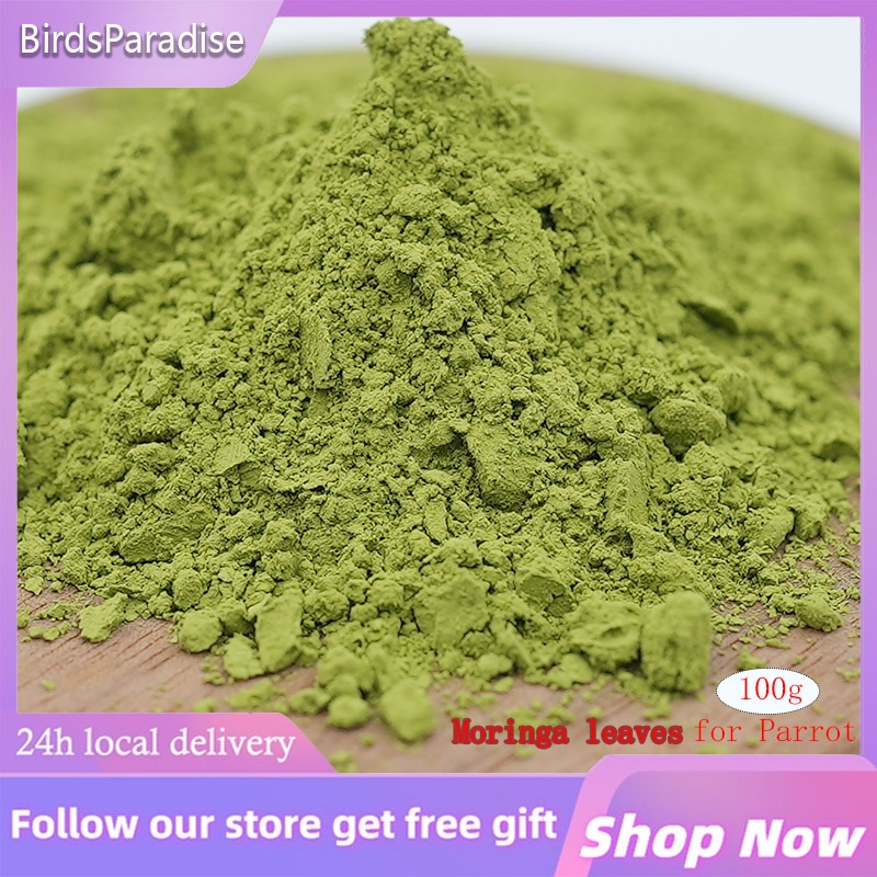 100g Moringa Powder Birds Feed for Parrot to Immunity Booster Shopee