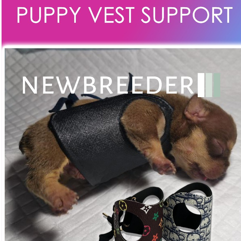 Newborn Puppy Flat Chest Kit for Chest Deformities and Difficulty of ...