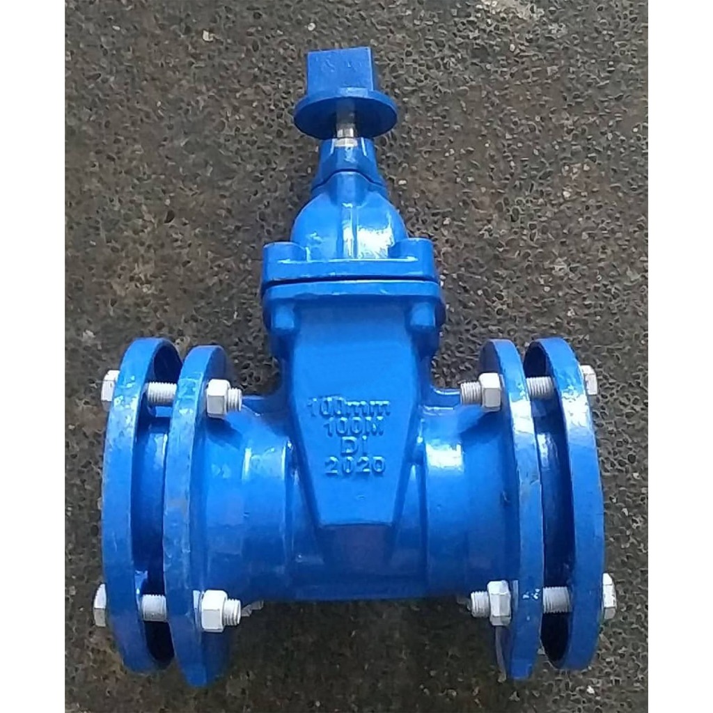 GENERIC CAST IRON MECHANICAL GATE VALVE 4