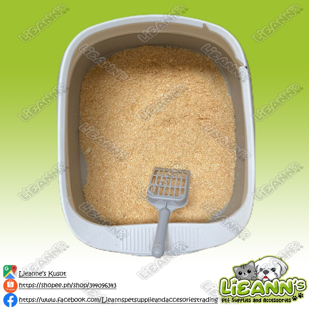 Cat Litter Sand 1KG Kusot pino (Sawdust) Shopee Philippines