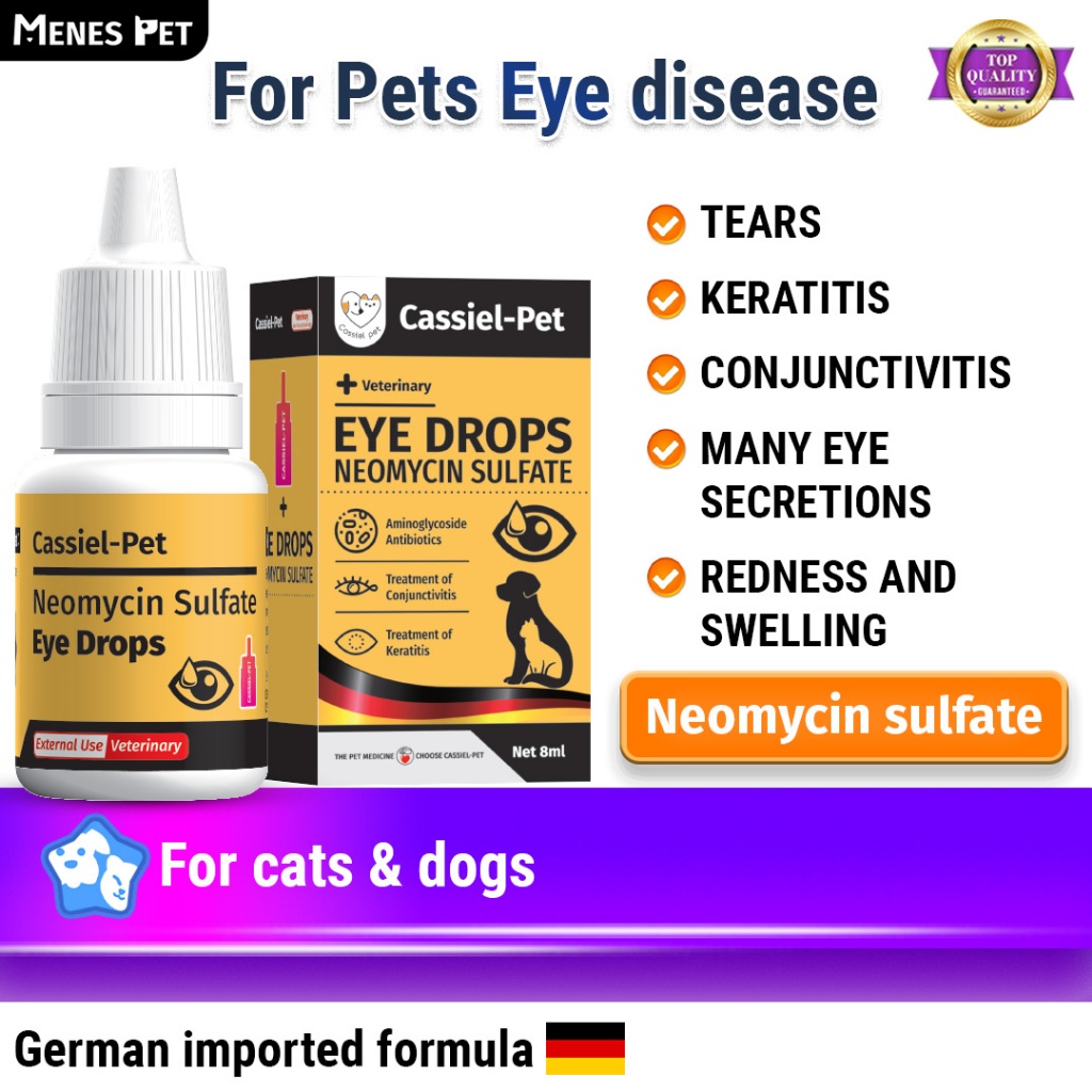 Cassiel Pet Gentamicin Sulfate Eye Drops For Dogs & Cats Eye Infection ...