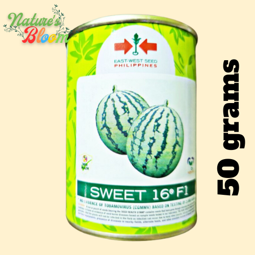 Sweet 16 F1 (50 grams) Hybrid Watermelon / Pakwan by East West Seeds ...