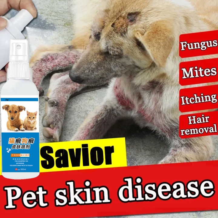 Anti Fungal For Dogs Anti Itchy For Dog Medicine For Skin Disease Cat