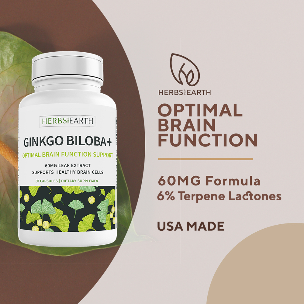 GINKGO BILOBA + 60mg 6% Terpenes Optimal Brain Function Support 60 Caps ...