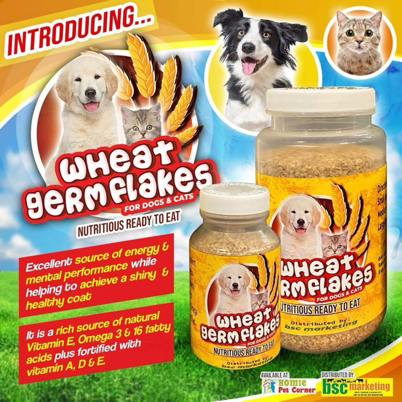 Can dogs clearance eat wheat germ