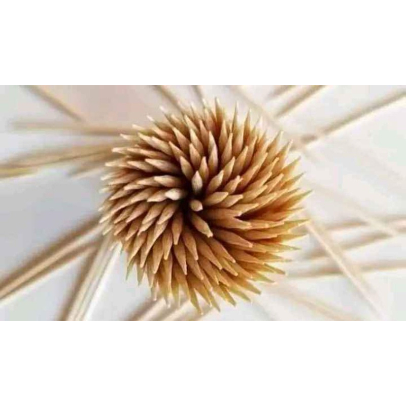 JLX 1 pack toothpick two way bamboo toothpick stick sold per pack ...