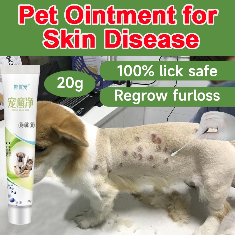 Dog skin 2024 rash ointment