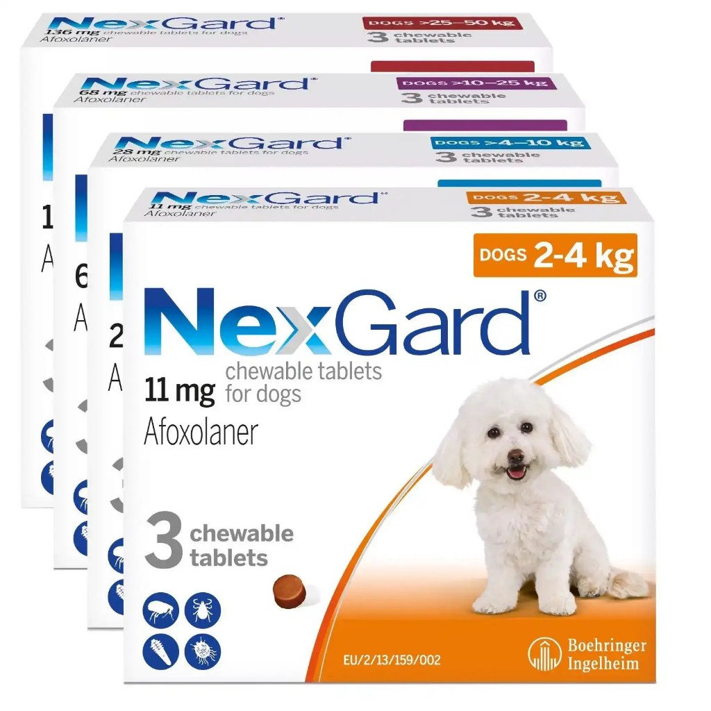 Nexgard/Spectra exp 09/2025 100 authentic 1box Shopee Philippines