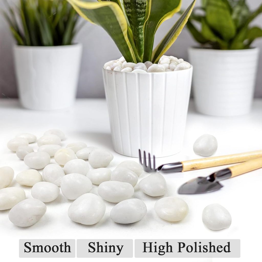 White River Rocks for Plants/Decorative Stones/ Crafting,Fish Tank ...