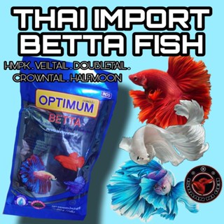 Betta crowntail bike online price