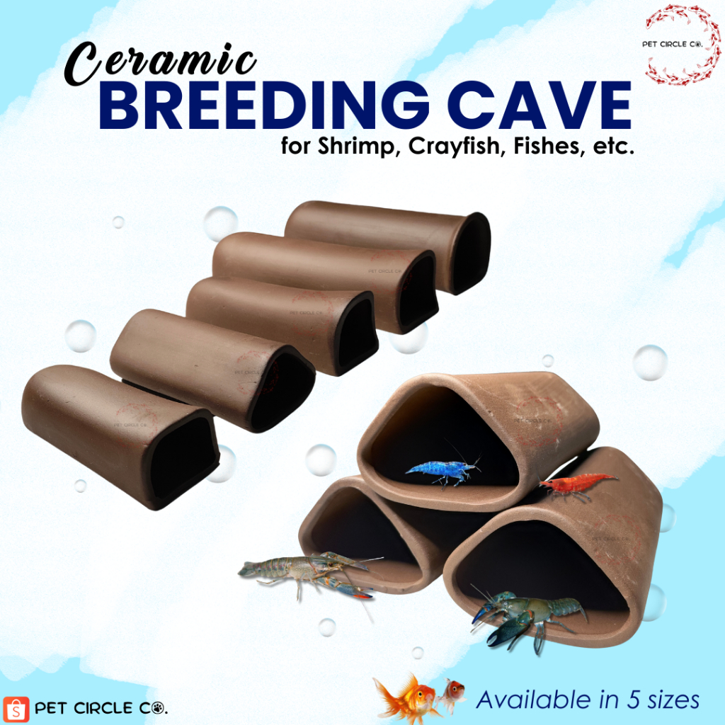 Fish Tank Decorations, Cottage Ornament Shrimp Shelter Hideaway Cave, Aquarium Decor, Mushroom Decor, Aquarium Décor for Shrimp Betta Goldfish and Reptiles (B