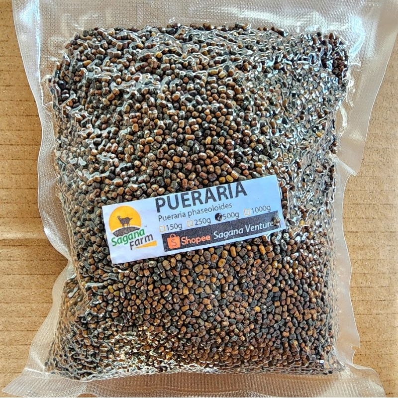 Kudzu Seeds 250g to 1kg (Pueraria phaseoloides) Forage Covercrop ...