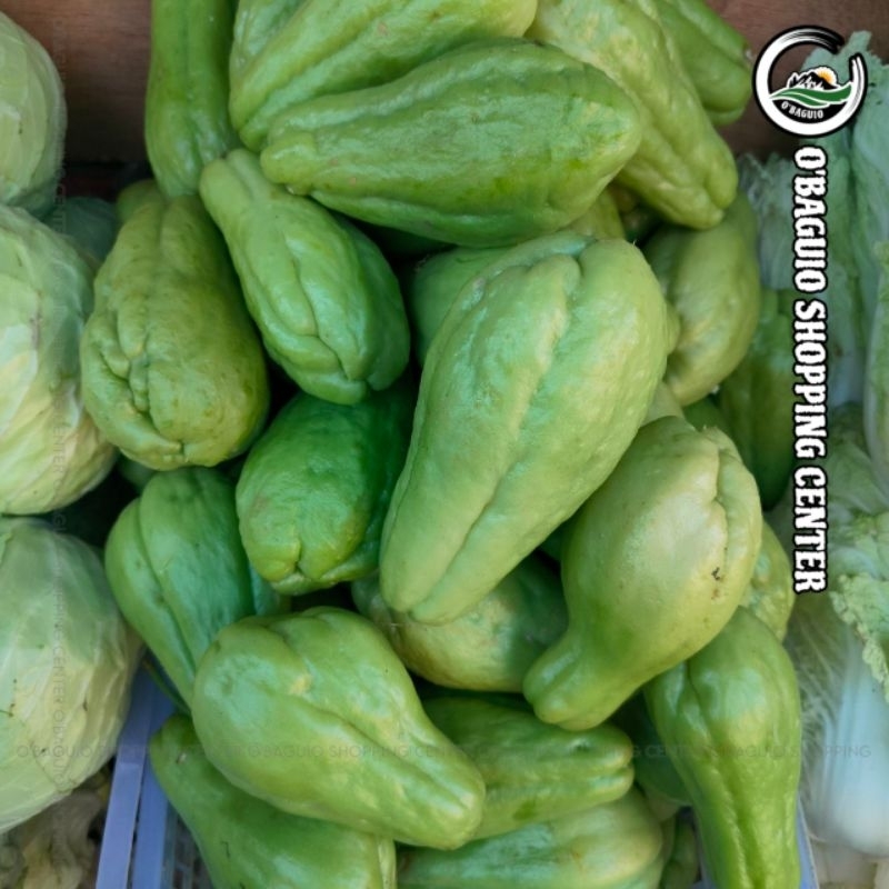 Sayote Benguet Fresh Harvest Per Kilo Baguio Products (COD