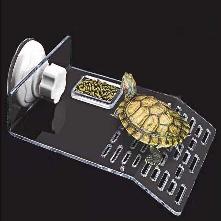 Turtle Basking Drying Platform Tortoise Clear White Acrylic Resting ...