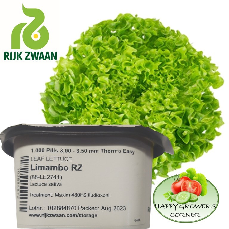 Rijk Zwaan Premium Lettuce Seeds 100 Pills Per Pack Shopee Philippines 9497