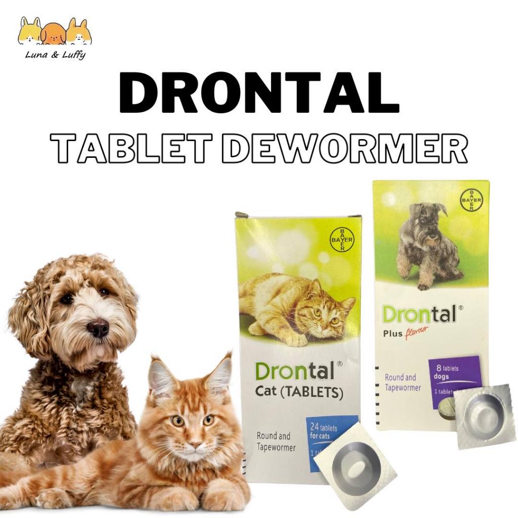 Drontal Tasty Dewormer Tablets For Dogs and Cats Tapeworms Roundworms ...