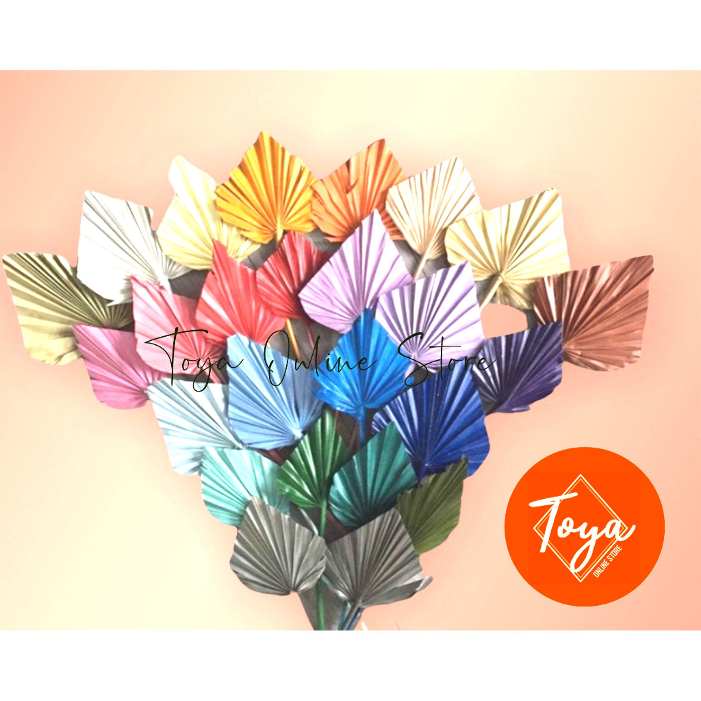 Premium Dried Palm Spear I Dried Anahaw Leaves I Colored | Shopee ...