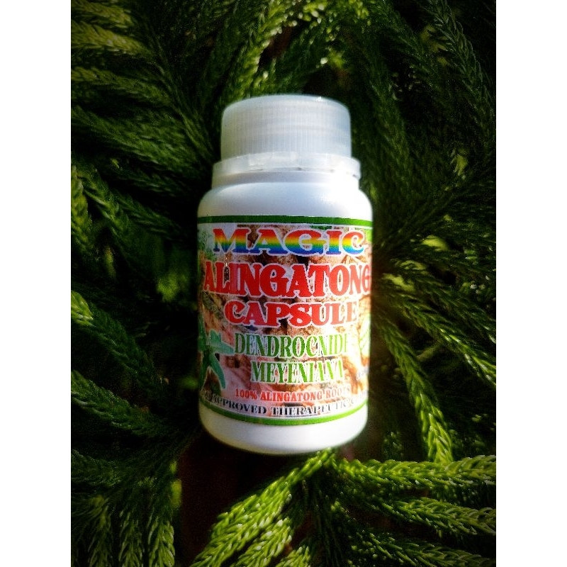 100% PURE ALINGATONG ROOTS CAPSULE 100 CAPSULES 500MG | Shopee Philippines