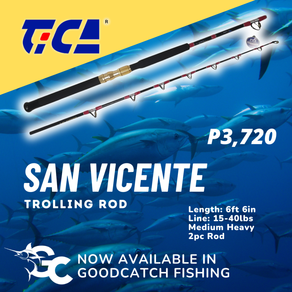 Tica San Vicente GCSVB419802 6'6