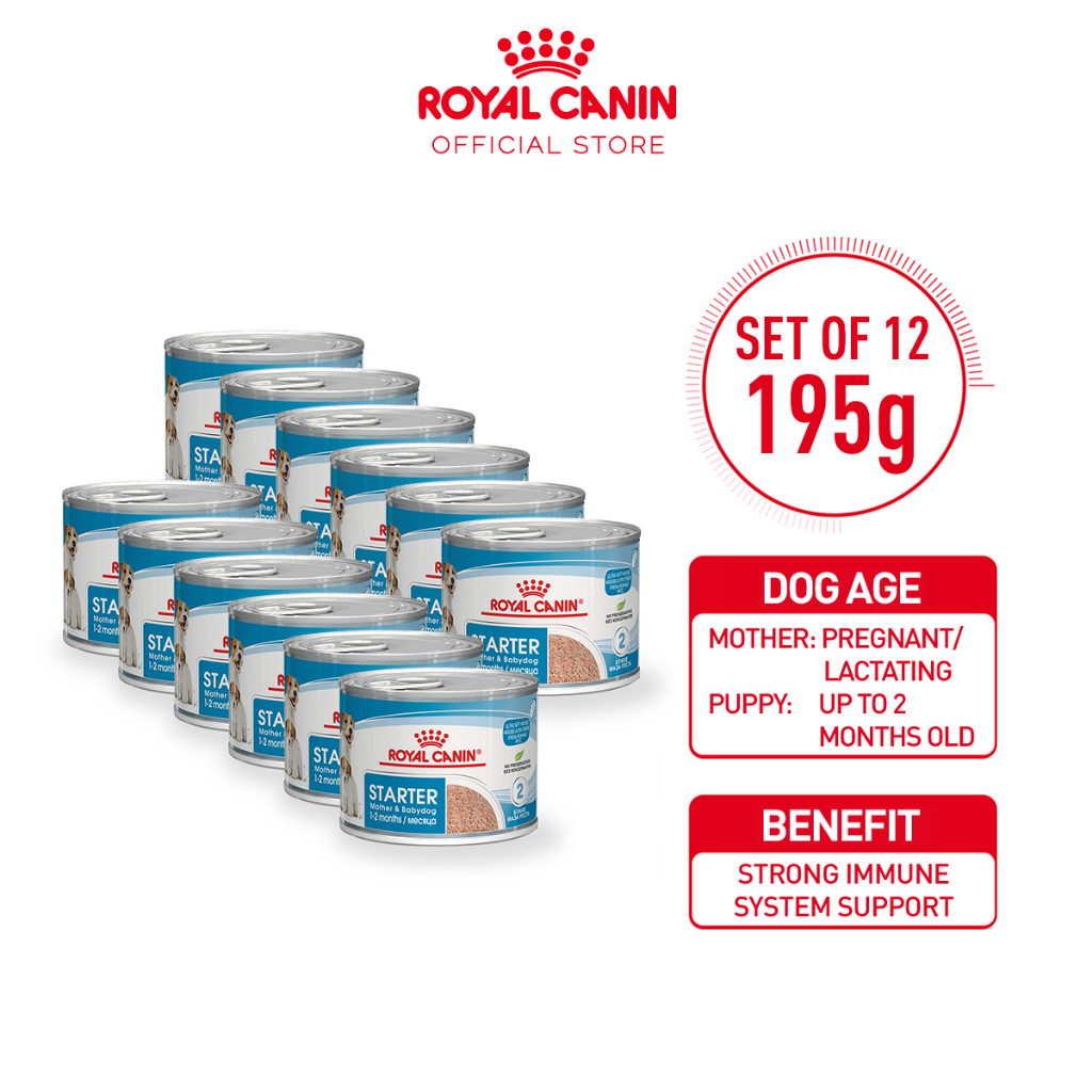 Royal Canin Starter Mousse Mother & Babydog (195g x 12 cans) Wet Dog ...