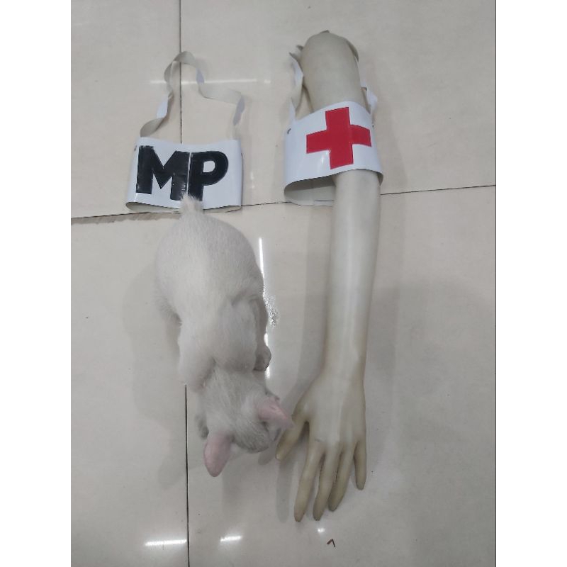 medic armband for rotc student | Shopee Philippines