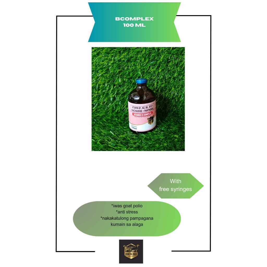 FORTIFIED vitamin b1,b2,b6,b12+NIACINAMIDE+PANTHENOL
