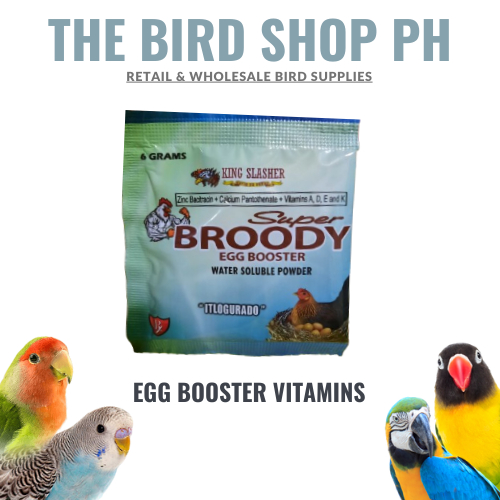 The Bird Shop PH Bird Egg Booster ITLOGURADO Broody Vitamins PROVEN ...