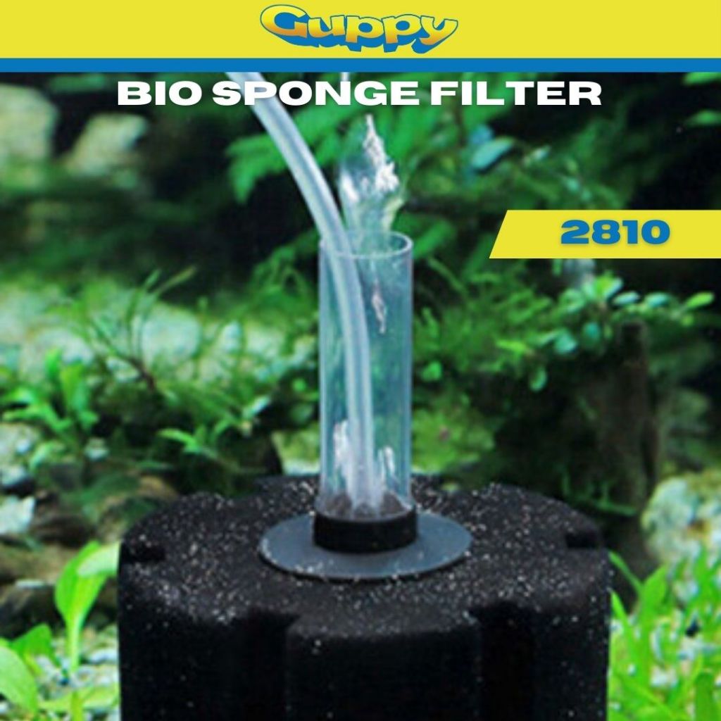 Infinity Bio Sponge Filter XY 2810 8.5x5 cm Aquarium Filtration ...