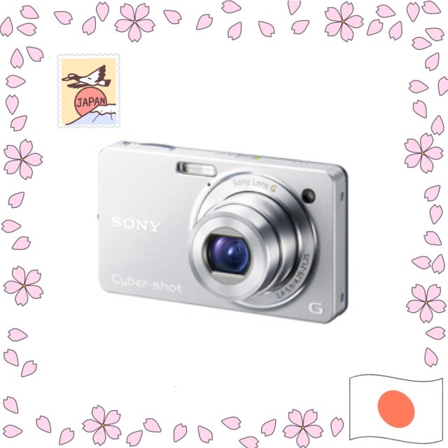 Sony Digital Camera Cybershot WX1 (10.2MP/Optical x5/Digital x10/Silver ...