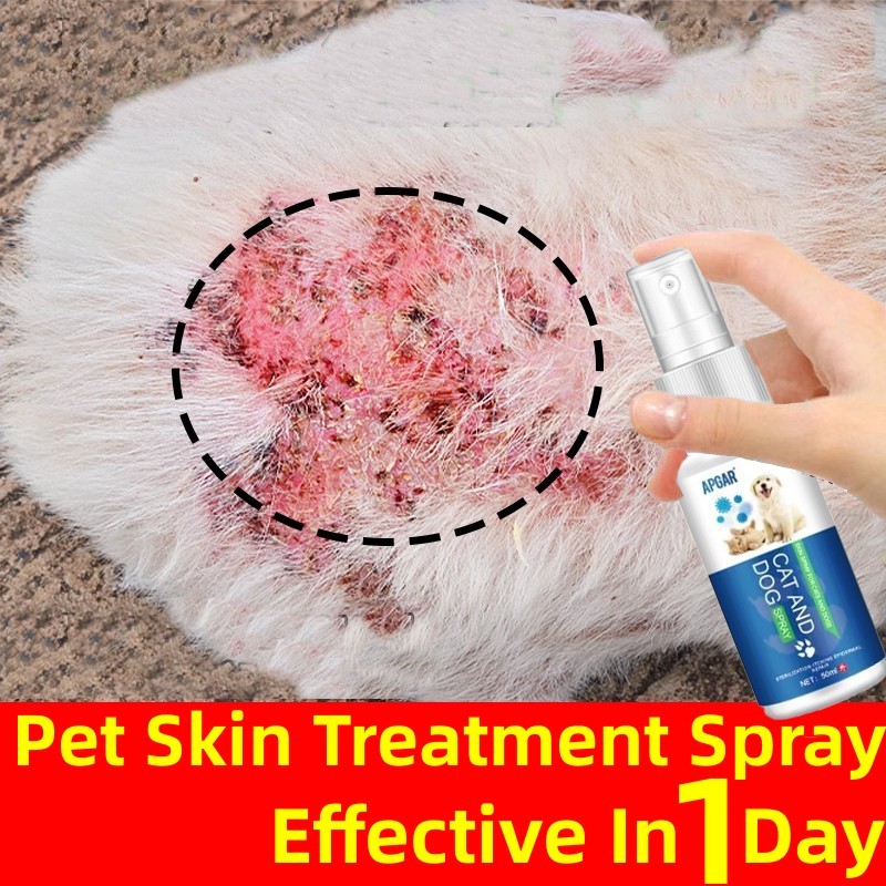 Mange Treatment For Cat Gamot Sa Galis Ng Pusa Para Sa Galis Ng Aso ...