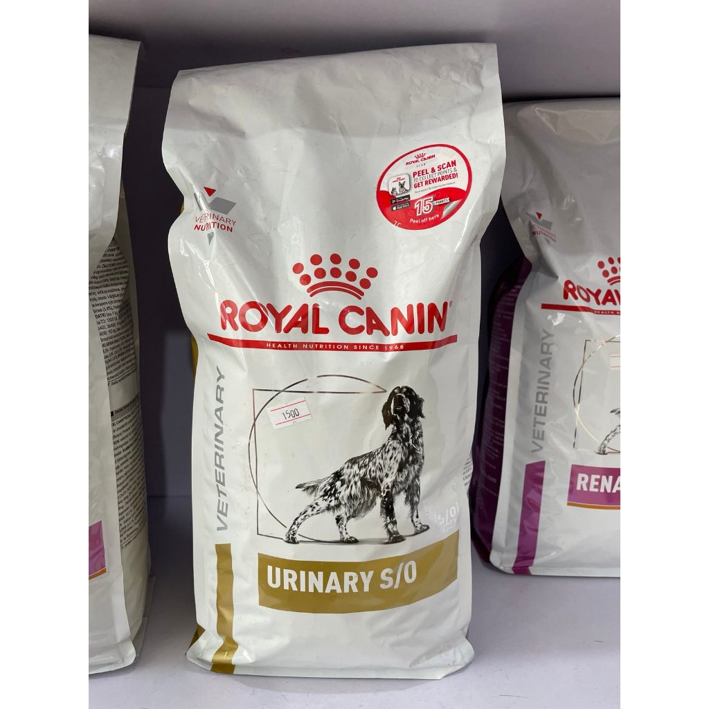 Royal Canin Urinary SO Dog Dry 2Kg Bag | Shopee Philippines