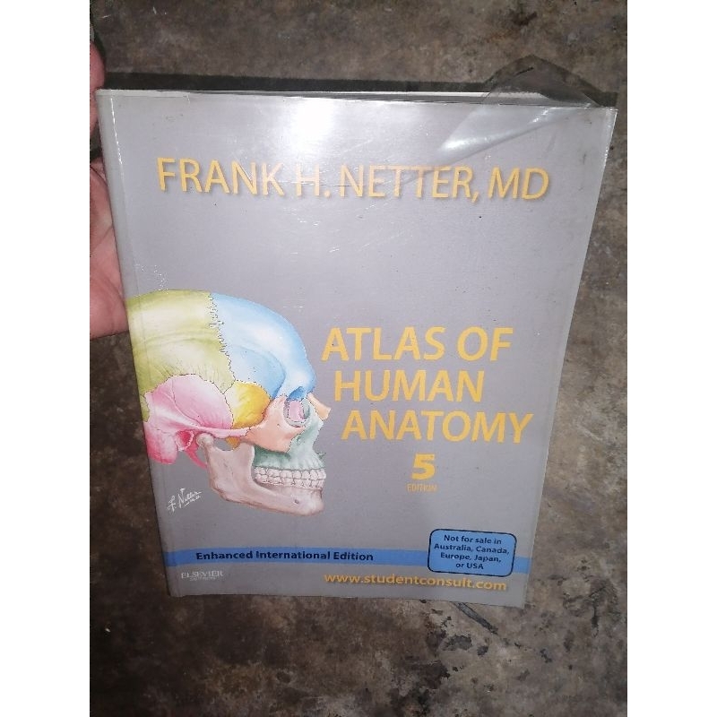 Atlas of Human Anatomy 5th Edition by Frank H. Netter (Authentic copy ...