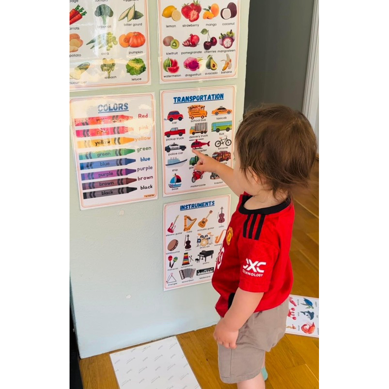 Kids Educational Wall Chart Laminated a4 size | Shopee Philippines