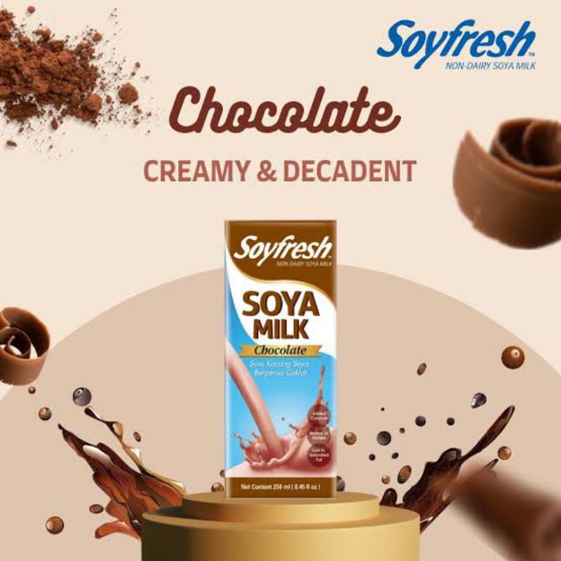 (COD) SOYFRESH SOYA CHOCOLATE MILK 1L Shopee Philippines