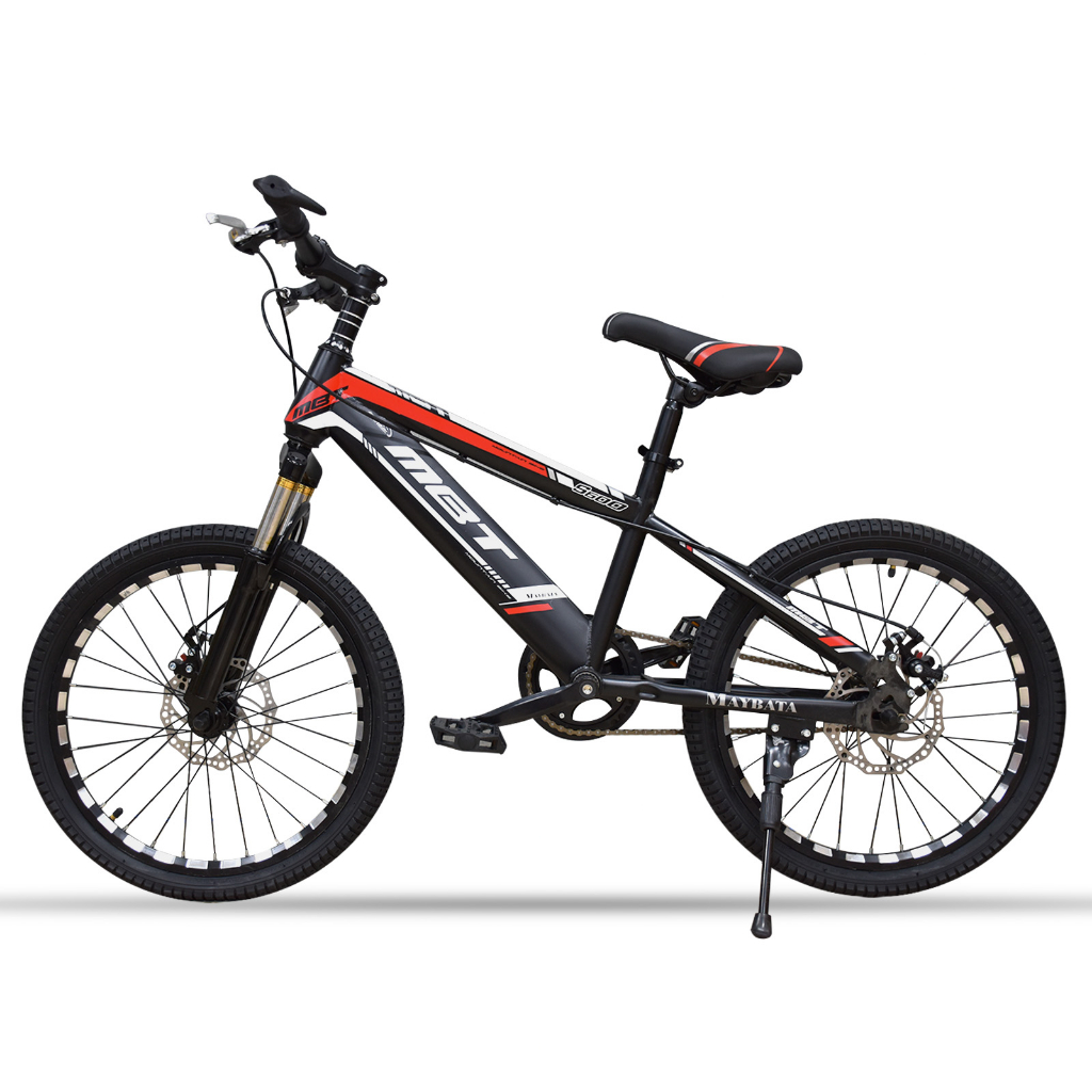 Japan Mountain Bike Adult Bicycles 20 SPEED Steel Bicycles Men's