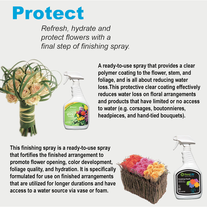 Floralife Fresh Flower Finishing Spray Crowning Glory, Finishing Touch Flower Care Spray