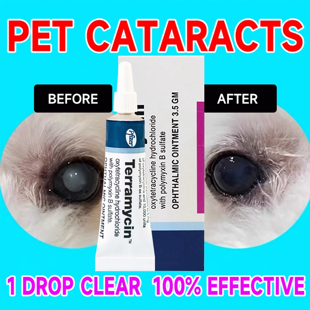 Terramycin 3.5G Ophthalmic Ointment For Dogs And Cats Eye Treatment for ...