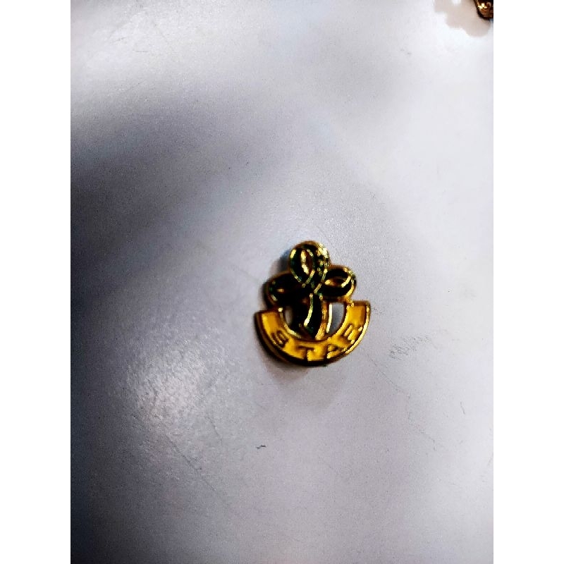 pin for scout (world pin, star pin, junior pin, twinkler pin, senior