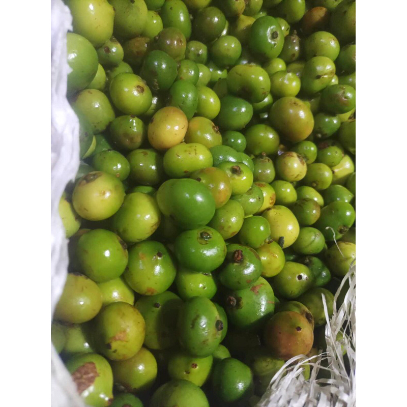 Batwan/Batuan fruits fresh from ilo-ilo 230/per kilo | Shopee Philippines