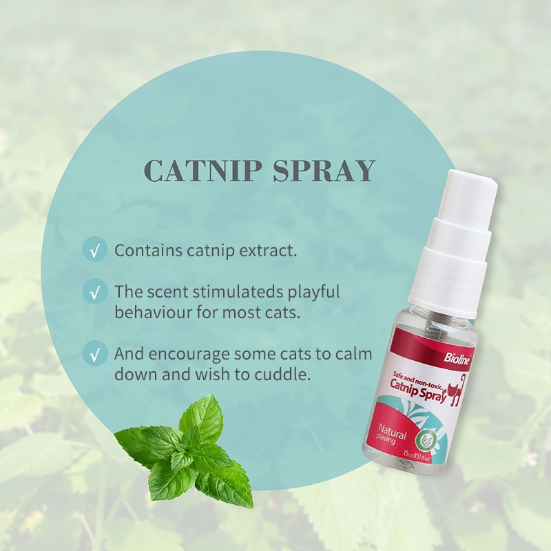 BIOLINE Catnip Spray Leaves for Cats 5g/20g/30g Shopee Philippines