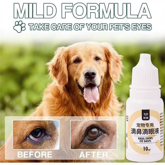 Gentamicin Eye Drops For Dog Pet Eye Infections Treatment Eyes Tear