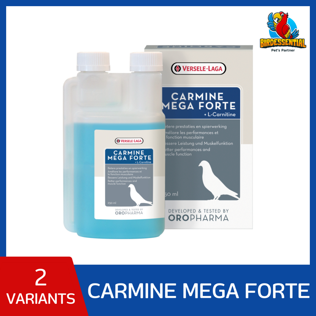 l carnitine for pigeons Pigeon-Vit  Vitamin Tablets for Pigeons Containing L-Carnitine