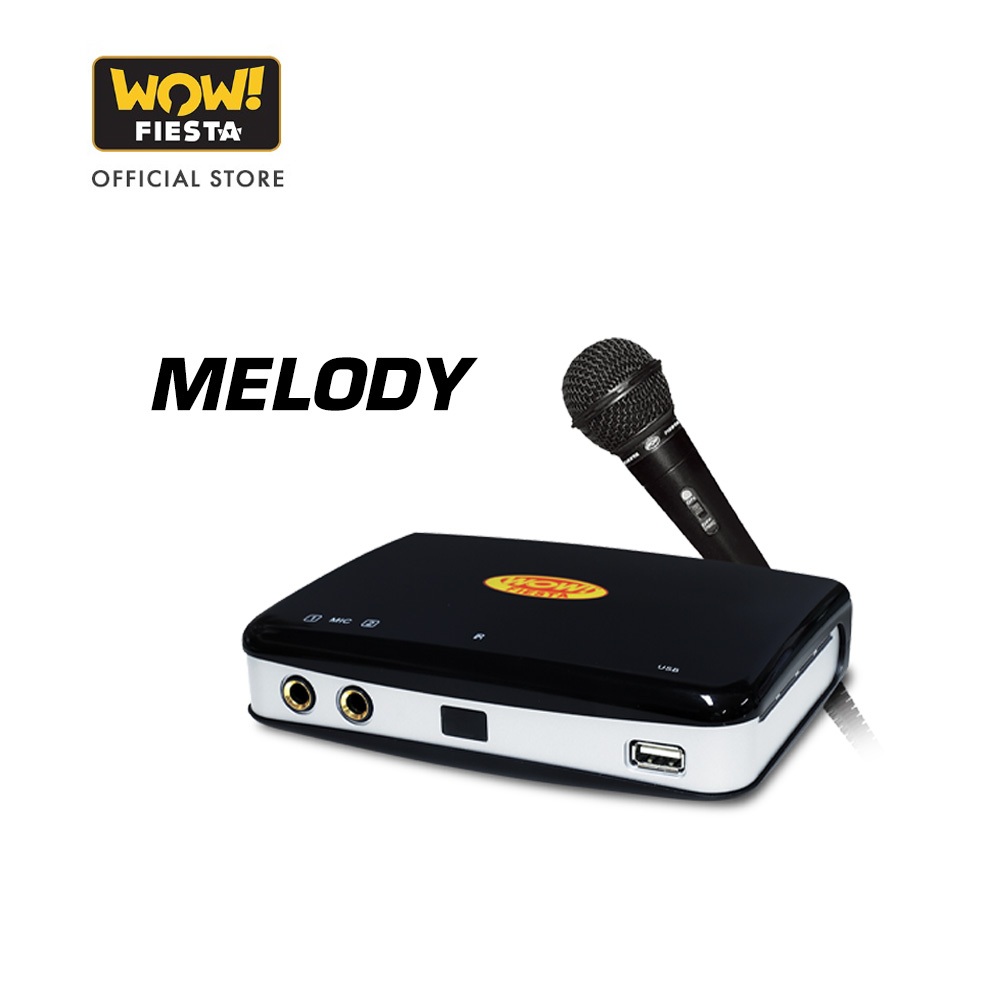 WOW! Fiesta Melody WF230HD Portable Videoke with Full HD Video